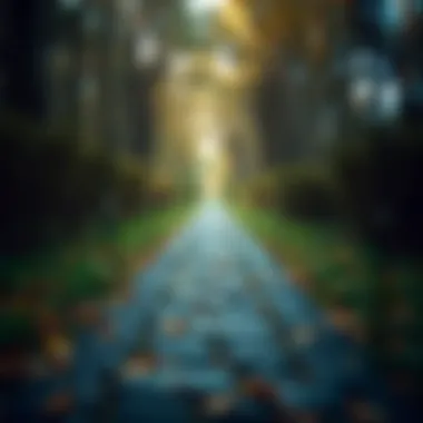 A pathway symbolizing credit health improvement