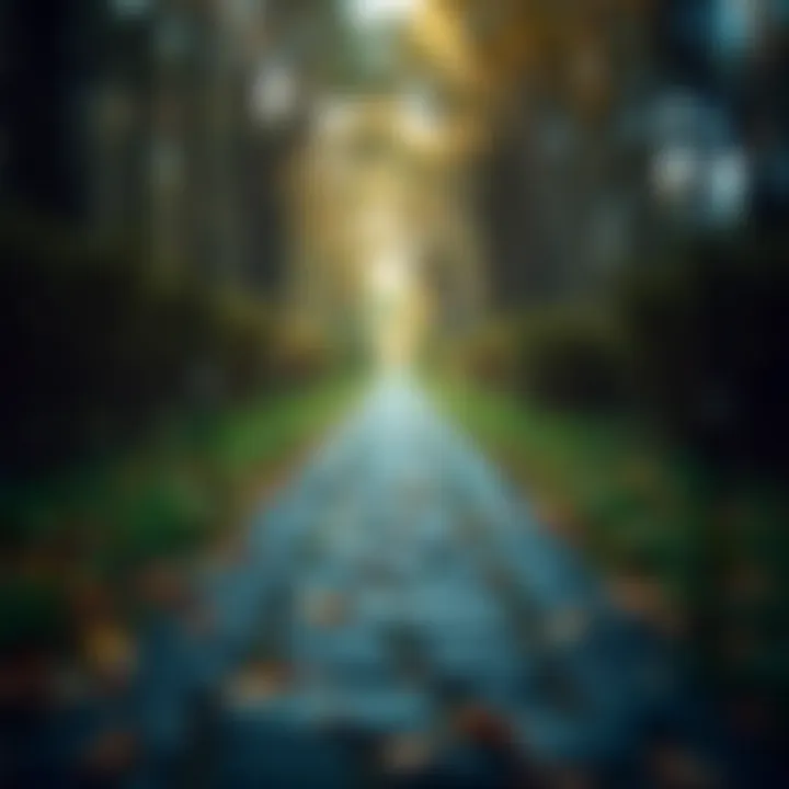 A pathway symbolizing credit health improvement