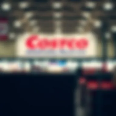 Strategic investment approaches for Costco stock