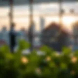 Strategic Planning for Roth Conversions