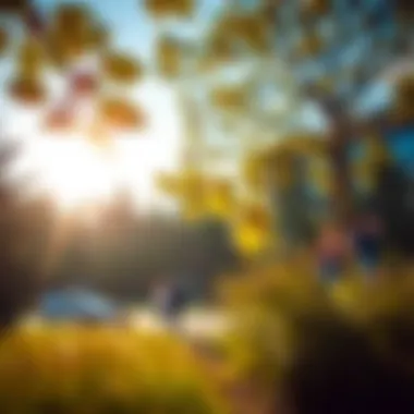 A picturesque park as a focal point of community engagement